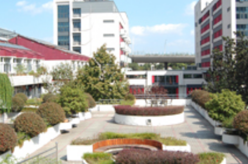 1699194382587099703.png 1699194382587099703.png