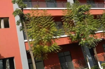 1699195000936081758.png 1699195000936081758.png