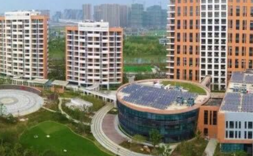 1699196516088069346.png 1699196516088069346.png