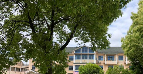 1699282604917072519.png 1699282604917072519.png