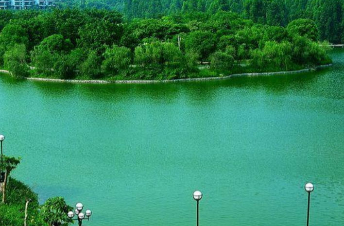 1699369120996069144.png 1699369120996069144.png