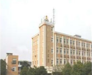 1699371505129012759.png 1699371505129012759.png