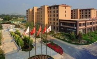 1699372035927013408.png 1699372035927013408.png