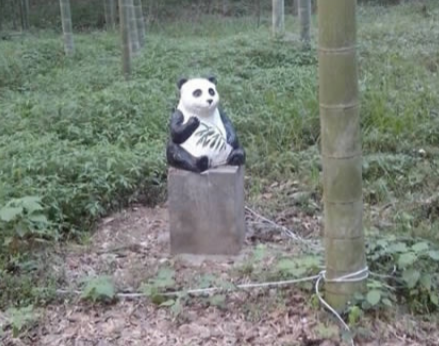 1699375430644082581.png 1699375430644082581.png