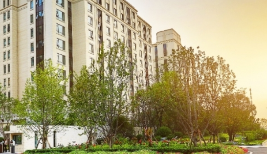 1701084610008022149.png 1701084610008022149.png