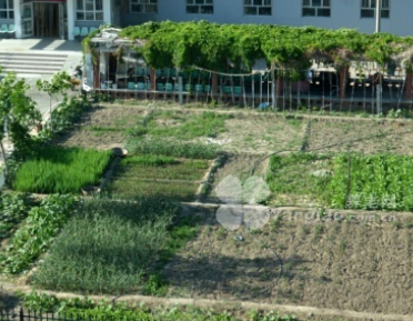 1701352487990050759.png 1701352487990050759.png