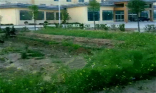 1701768656303078874.png 30 (2).png