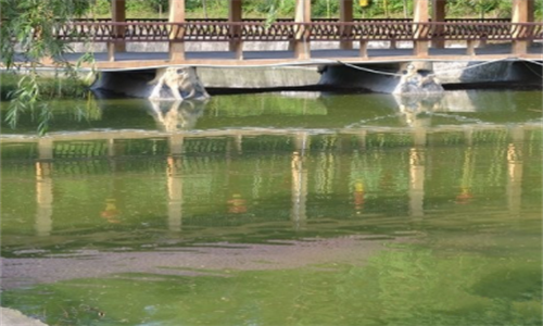 1701777870998057616.png 3.png