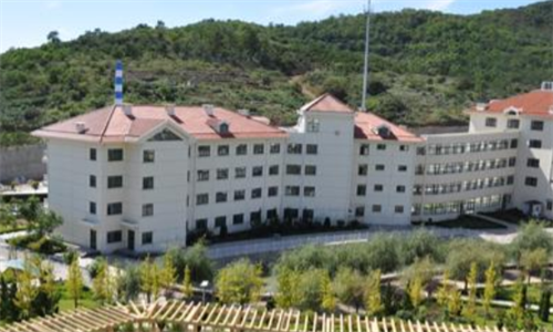 1701778104812056596.png 6.png