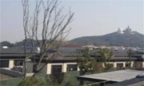 1701778289096080678.png 上海16.png