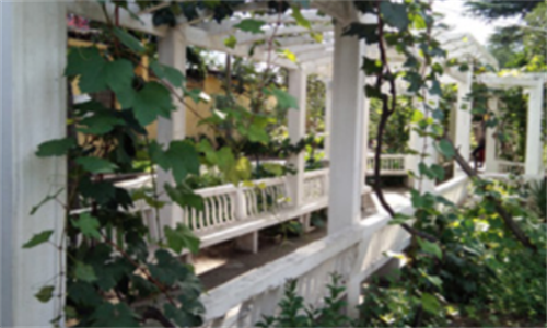 1701778558199050605.png 9.png