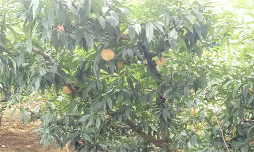 1701779361695082129.png 17.png