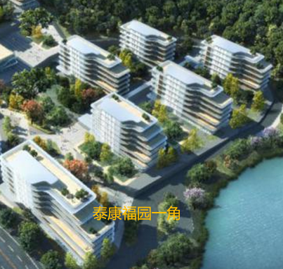 1706065403507058170.png 1706065398535.png