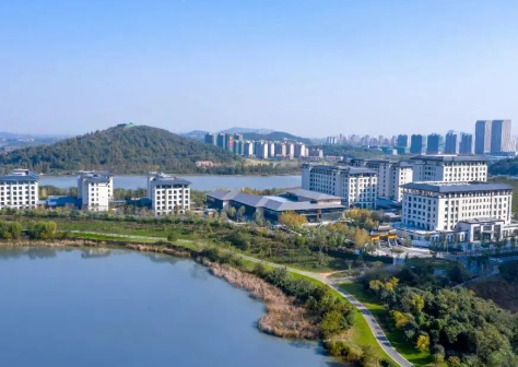 1709954779580014010.png 1709954770259.png