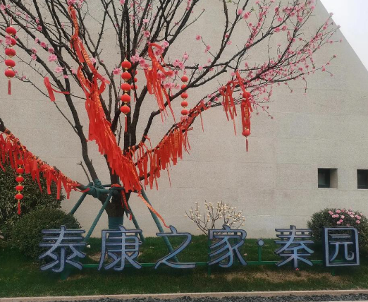 1723533054360068906.png 1723533047840.png