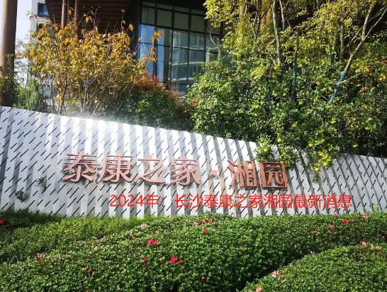 1732343092705012448.png 1732343089081.png