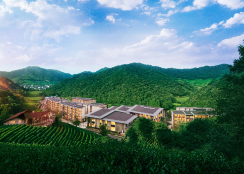 1736753176224084549.png 1736753172120.png