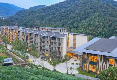 1736754018322096226.png 1736753990961.png