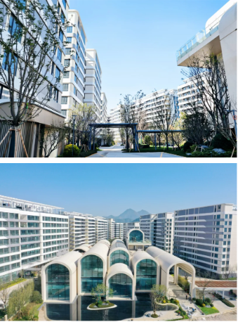 1741070296669075138.png 1741070291190.png