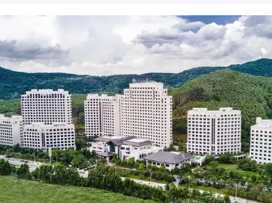 1743144539266071984.png 1743144516021.png