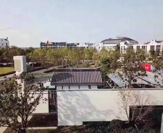 1743406626334034613.png 1743406621001.png