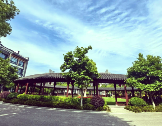 1743406667163077162.png 1743406661439.png