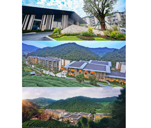 1744095316057005587.png 1744095306169.png