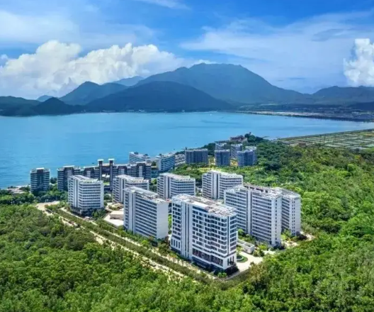 1746772019267024288.png 1746772014911.png