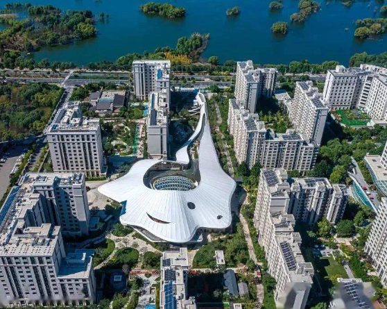 1747813229031017540.png 1747813224116.png