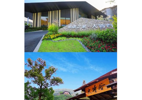 1749537943066067576.png 1749537923029.png