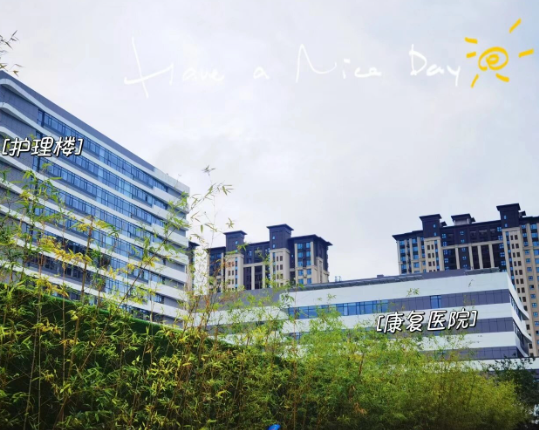 1750653099973009730.png 1750653058437.png