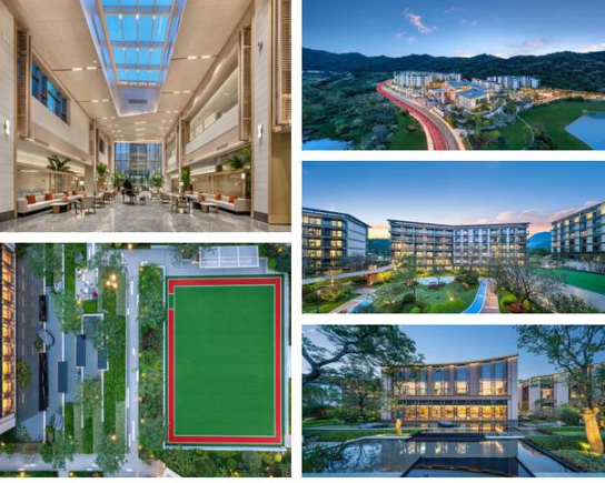 1751355932618088332.png 1751355918393.png