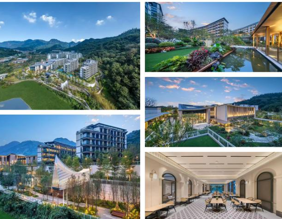 1751355957606086314.png 1751355945672.png