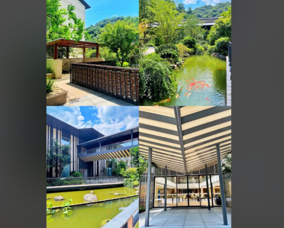 1755241443535049975.png f930b598-26a6-44fe-8cf8-bd6be2cf1d5f.png