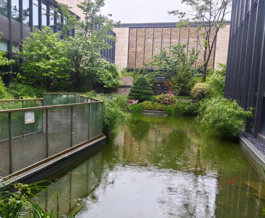 1755582792077001029.png e85616cc-0d1c-485d-9d81-f91ca062c68a.png