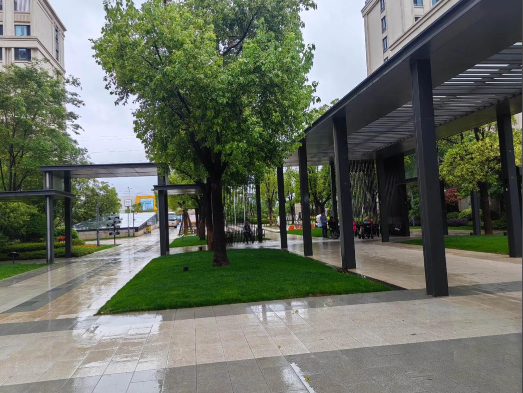 1755582841822094175.png d65fd13b-2722-46c7-a0f3-93411fabfdd1.png