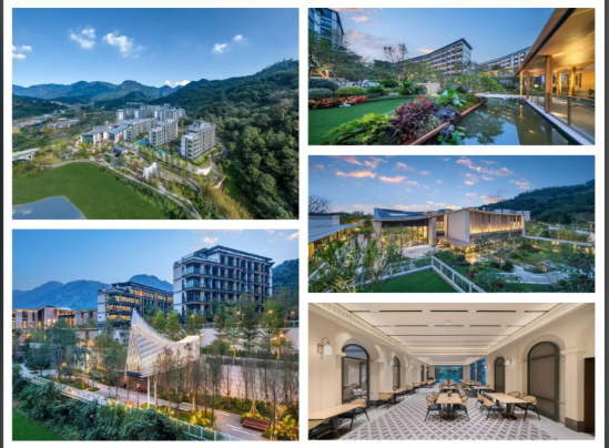 1757572782226016574.png 24917d4e-f7dc-4ca7-b0dc-c231534767bd.png