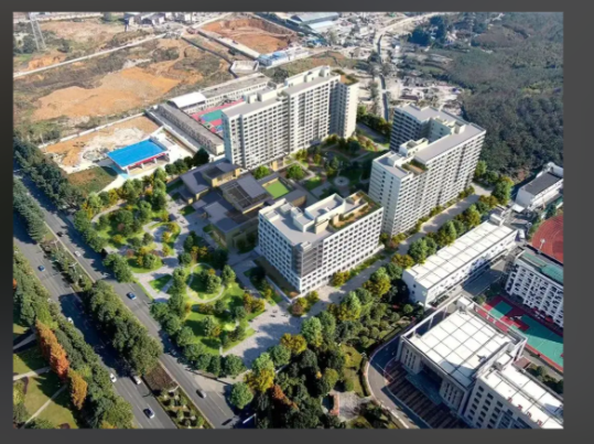 1762757185960098650.png 55ca058f-43dc-4a68-84f3-9d9df5d83782.png