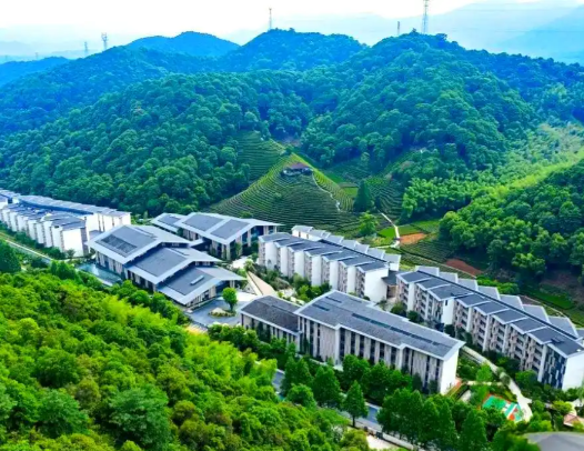 1765765760072036910.png 08fb498f-5bfb-49fb-a1be-00486e04e9e4.png