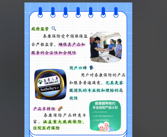 1766113310796089781.png 884804f6-5ba3-4545-9a70-87d55f1fd11d.png